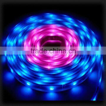 3528 flexible led strip light/waterproof IP68 IP65 IP20 rgb led strip light