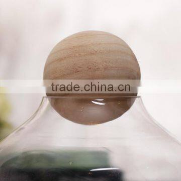 Handmade Clear Glass Planter photo-3