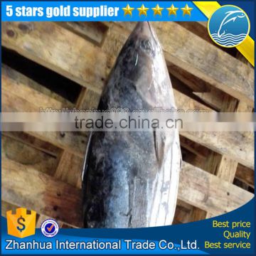 frozen skipjack tuna price import export seafood