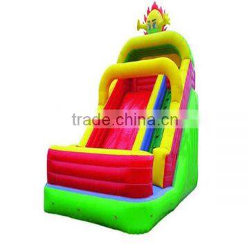 new products 2014 China giant inflatable water slide for adult