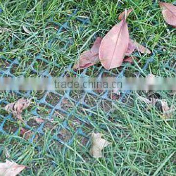 Agriculture Plastic Fencing Lawn Support Mesh