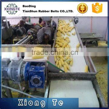 Hygienic excellent quality light duty Fruit Conveyor Belt