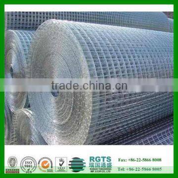 prime stainless steel wire mesh fence/ welded wire mesh direct supply from factory