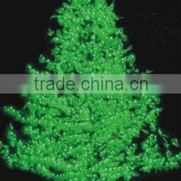 4m 200W LED Cypress Tree Light