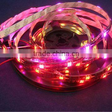 wholesale led strip light ws2811 (4pin) ; smd 5050 with ws2811 ic to ws2812s leds chip