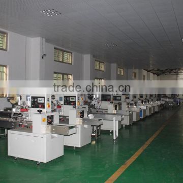 2014 Popular Cookie Packing Machine