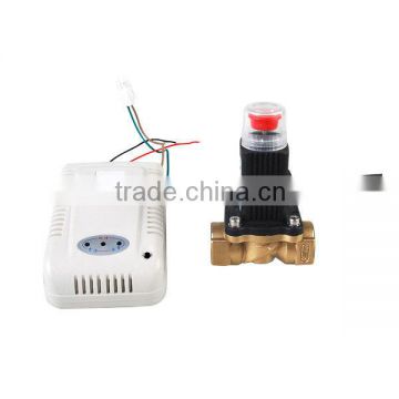 Gas leak detector valve