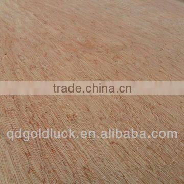 bintangor plywood / high quality bintangore plywood / commercial plywood with bintangor venners