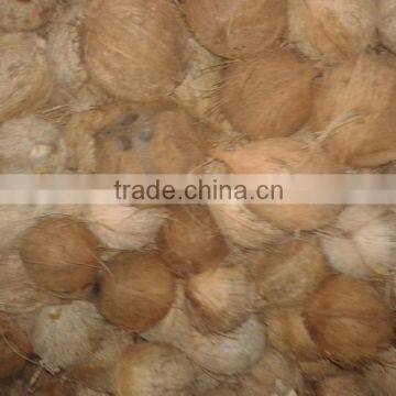 Polllachi Mature Cocounts photo-5