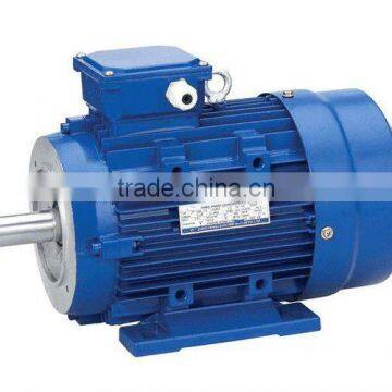 Three phase Electric Motor