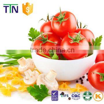 TTN Slightly Sour Sun Dried Vegetable Fruits Tomato photo-3