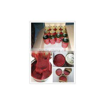 210g Canned Tomato Paste