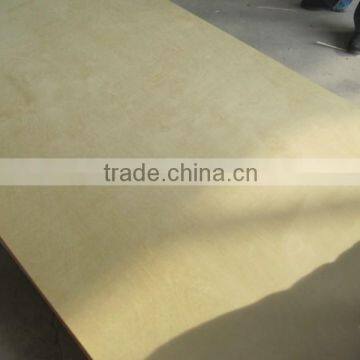 shandong best price of russian birch plywood to africa and UAE market