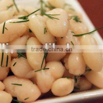 White Beans (factory)