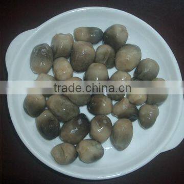 2015 Canned straw mushroom