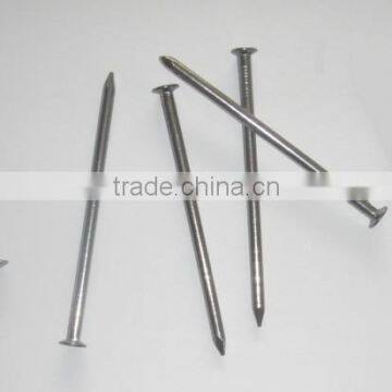 Common Iron Nails