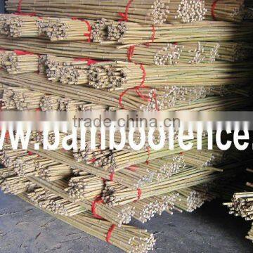 Natural Tonkin bamboo pole