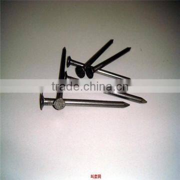 China Manufacturers Supply of Common Nails Polished for Wood photo-3