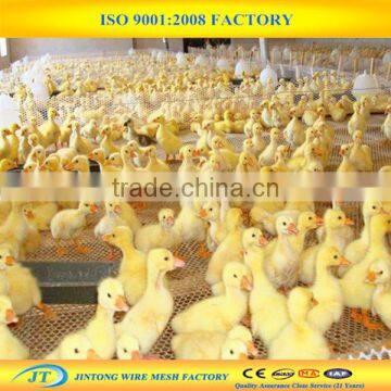 plastic plain netting/poutry plastic chicken net