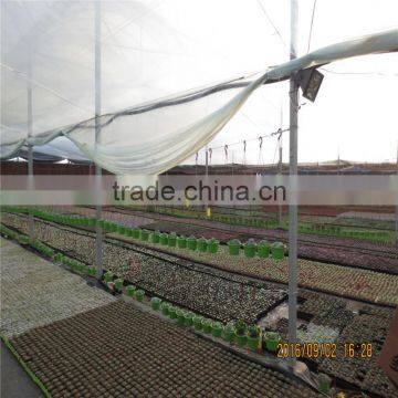Agricultural Greenhouses Type Commercial Hydroponics Greenhouse photo-6