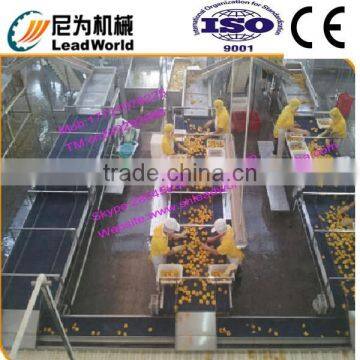 Professional and Hot Sale Canned Fruit Production/processing Line Yellow Peaches Cutting Machine photo-3
