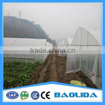Cheap Agricultural Single Tree Greenhouse photo-4