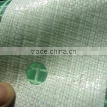 Waterproofing Greenhouse Mesh Tarpaulin, Clear Transparent Greenhouse Leno, Various Usage Greenhouse Tarpaulin photo-2