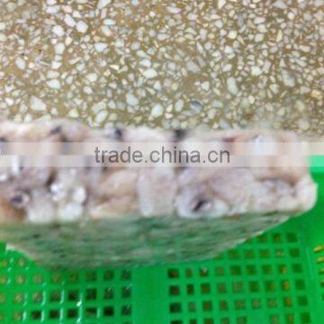 Frozen Baby Loligo Squid photo-2