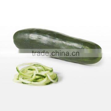 2016 Amazon Hot Selling Hand-held Sprializer Vegetable Slicer Spiral Slicer photo-5