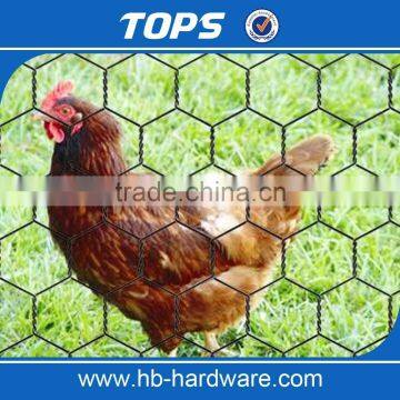 Galvanized Hexagonal Wire Netting Chicken Poultry Fence photo-2