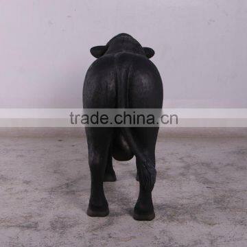 Definitive Angus Looking Left photo-5