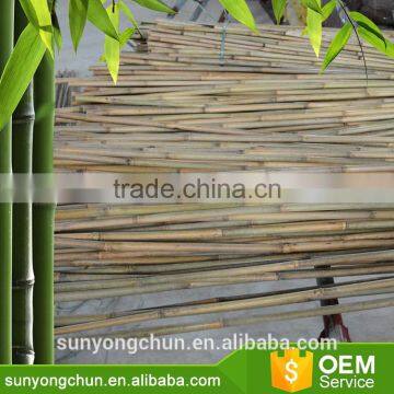 Diameter Flag Pole Curtain Christmas Decoration Bamboo Canes for Plants Farm photo-6