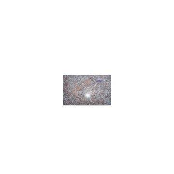 Fugui Red Granite