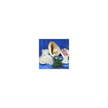 Sell Raw Shells and Processed Material