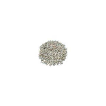 Sunflower Seeds Kernels