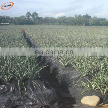 LDPE black mulch film agriculture use from china