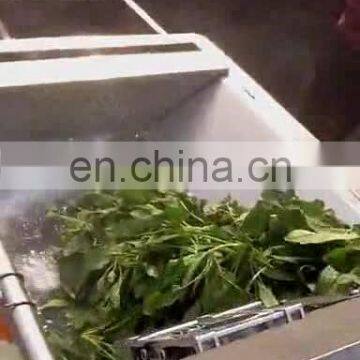 vegetable and fruit washing machine bubble vegetable washer machine