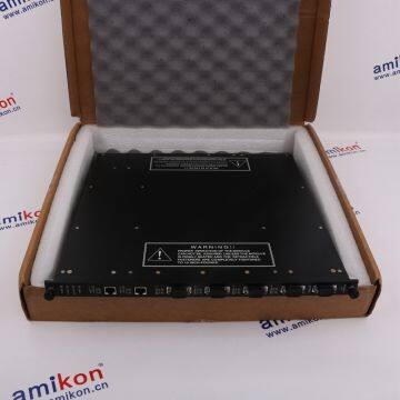 Invensys Triconex 4119A photo-2