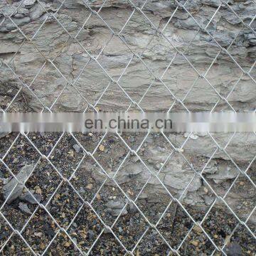 2.5mm wire Galvanized and pvc coated chain Link fence mesh