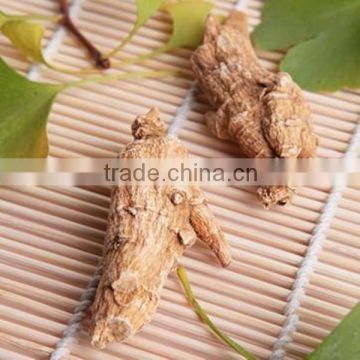 Organic American Panax Ginseng Root Good for Health