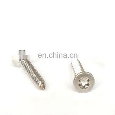 Torx screw flat round head Stainless steel zinc plated self tapping security screw