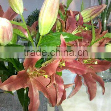 cheap PU plastic artificial Lily flowers