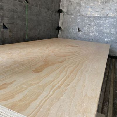 12mm 15mm 18mm Bintangor Okoume Birch Pine Faced Commercial Plywood Sheets for Furniture