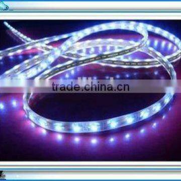 Hot Sales! SMD3528 120LED 10MM LED Flexible Strip Waterproof IP63 Free Shipping Competitive Price Long Lifespan CE&RoHS