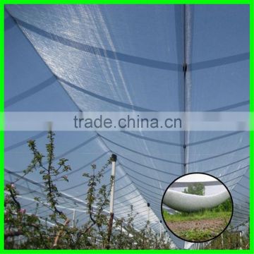 Anti hail net,hail protection net for fruit plantations apple tree