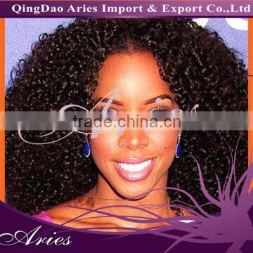 Popular Selling Afro Kinky Curly Front Lace Wigs