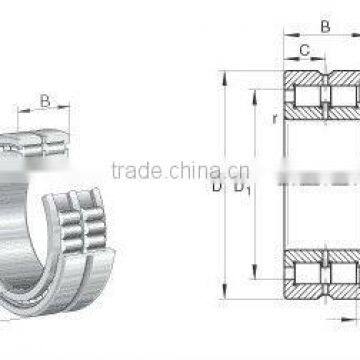 (SL045008PP,SL045028PP,SL045048PP)SL04 Type Needle Roller bearings