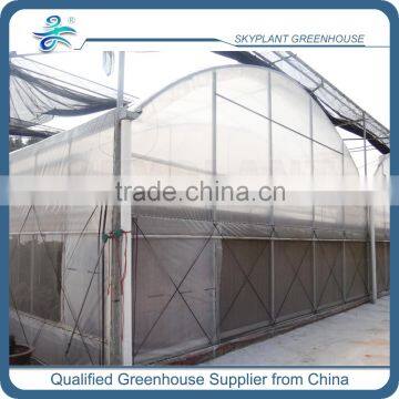 Low Cost Greenhouse Plastic Film Greenhouse for Vegetable