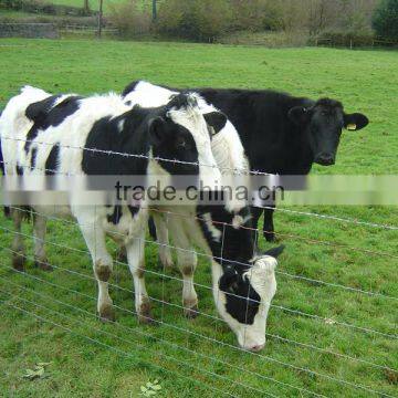 Barbed Wire Fencing on Farms