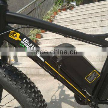 Fat Bike,removable Electric Bicycle Motor photo-6